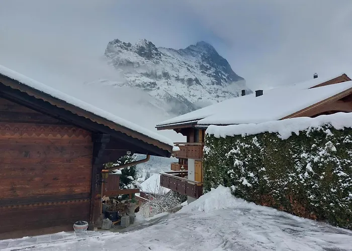 Babice - Griwa Rent Ag