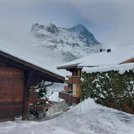 Babice - Griwa Rent Ag